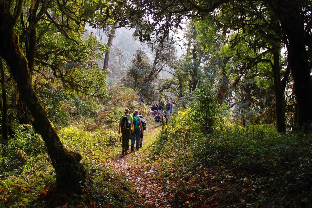 Vandringresa Nepal. Gäster vandrar på en stig i skogen.