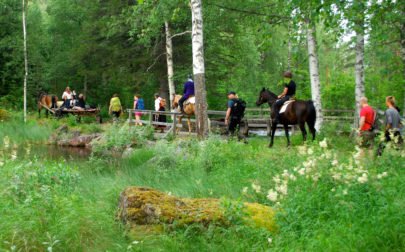 Äventyr i Sverige, vandring och ridning genom en skog