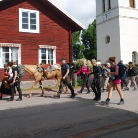 Äventyr i Sverige, promenad genom Dala-Floda