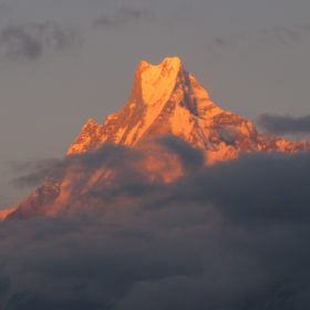 Det heliga berget Machhapuchhre, även kallat Fishtail i solnedgången